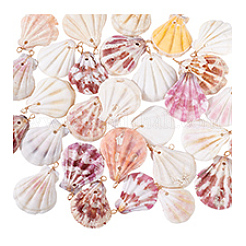 30Pcs Natural Shell Pendants&nbsp;PALLOY-PH01840