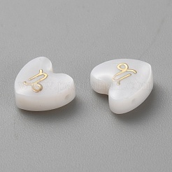 5Pcs Natural White Shell Beads&nbsp;LS-BSHE-TAC0004-02L