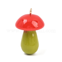 Opaque Resin Big Pendants&nbsp;FIND-E053-02A-G