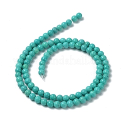 Natural Howlite Beads Strands&nbsp;G-E604-B01