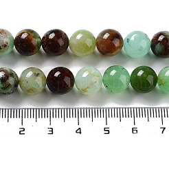Natural Chrysoprase Beads Strands&nbsp;G-G057-A01-01