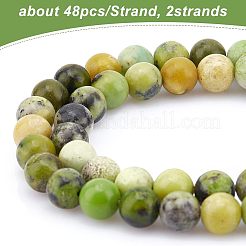 2 Strands Natural Serpentine Beads Strands&nbsp;G-OC0003-11