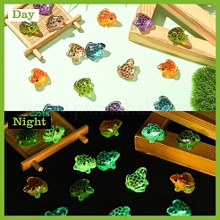 Luminous Resin Frog Micro Landscape Scene Ornaments&nbsp;DIY-YWC0009-03A