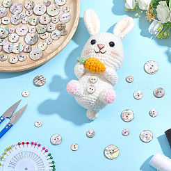 120Pcs 6 Styles 2-Hole Shell Buttons&nbsp;BUTT-ME0001-45