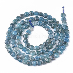 Natural Apatite Beads Strands&nbsp;G-S362-011