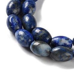 Natural Lapis Lazuli Beads Strands&nbsp;G-I369-B15-01