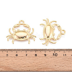 Brass Pendants&nbsp;KK-N263-123G