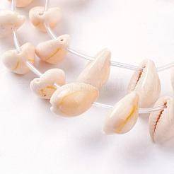Natural Cowrie Shell Beads Strands&nbsp;BSHE-L036-32E-03