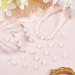 4 Strands Natural Freshwater Shell Beads Strands&nbsp;SHEL-SC0001-77