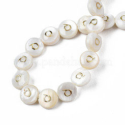Natural Freshwater Shell Beads&nbsp;SHEL-S276-168Q