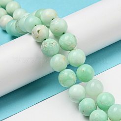 Grade A Natural Chrysoprase Beads Strands&nbsp;G-R494-A02-04