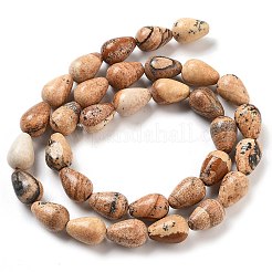 Natural Picture Jasper Beads Strands&nbsp;G-B106-A18-02