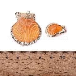 Electroplated Golden Brass Trim Natural Sea Shell Pendants&nbsp;SSHEL-N042-31