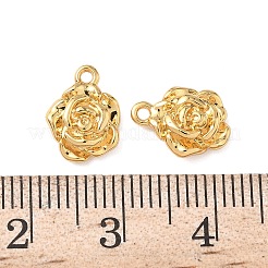 Brass Pendants&nbsp;KK-D024-14G