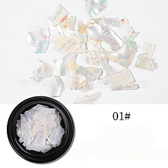 Abalone Shell/Paua ShellChips&nbsp;MRMJ-Q034-012A