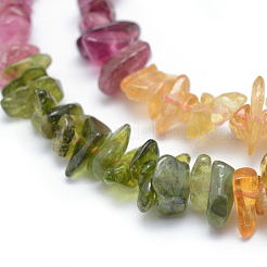 Natural Multicolor Tourmaline Beads Strands&nbsp;G-P332-73C