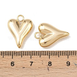 304 Stainless Steel Pendants&nbsp;STAS-A076-13G-02