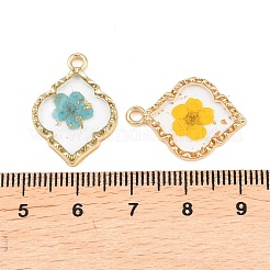Alloy Epoxy Resin Pendants&nbsp;FIND-Z114-01G-01