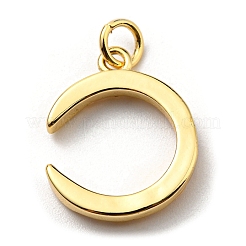 Brass Pendants&nbsp;KK-K341-26G