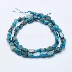 Natural Apatite Beads Strands&nbsp;G-K203-13