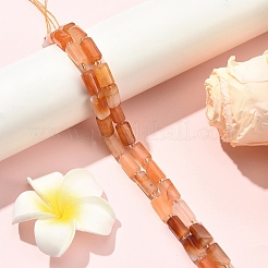 1 Strand Natural Orange Botswana Agate Beads Strands&nbsp;G-YW0002-44