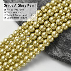 Eco-Friendly Dyed Glass Pearl Beads Strands&nbsp;HY-A008-6mm-RB110