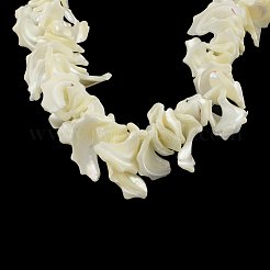 Chips Natural Trochid Shell/Trochus Shell Beads Strands&nbsp;SSHEL-F290-30