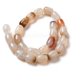 Natural Australia Marine Chalcedony Beads Strands&nbsp;G-P521-A01-01