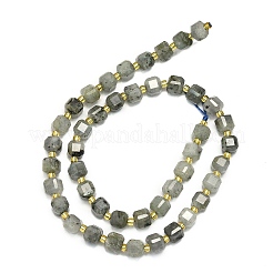 Natural Labradorite Beads Strands&nbsp;G-I376-D31-01