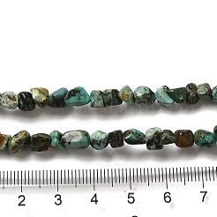 Natural African Turquoise(Jasper) Beads Strands&nbsp;G-D081-A05