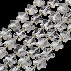 Natural Quartz Crystal Beads Strands&nbsp;G-L657-A07-01