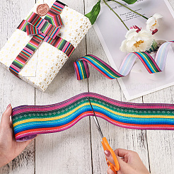 2Rolls 2 Styles Stripe Pattern Printed Polyester Grosgrain Ribbon&nbsp;OCOR-TA0001-37I
