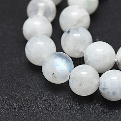 Natural Rainbow Moonstone Beads Strands&nbsp;G-I249-B04-02