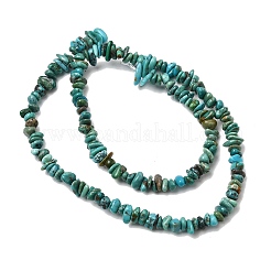 Natural HuBei Turquoise Bead Strands&nbsp;G-H345-A01-03