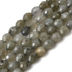 Natural Labradorite Beads Strands&nbsp;G-K376-F07-01