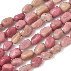 Natural Rhodonite Beads Strands&nbsp;G-C286-A08