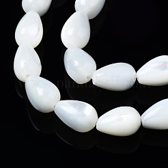 Natural Trochid Shell/Trochus Shell Beads Strands&nbsp;SSHEL-S266-022