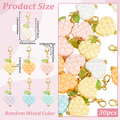 30Pcs Acrylic Pendant Decorations&nbsp;HJEW-BM00015