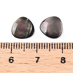 Natural Black Lip Shell Cabochons&nbsp;SSHEL-T017-09