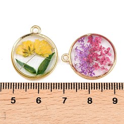 Alloy Epoxy Resin Pendants&nbsp;FIND-Z114-01G-05
