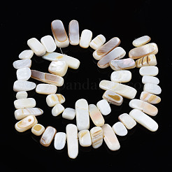 Natural Trochid Shell/Trochus Shell Beads Strands&nbsp;SHEL-S258-082-A01