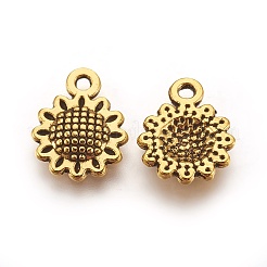 Tibetan Style Alloy Charms&nbsp;X1-GLF10257Y-NF