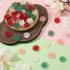 60Pcs 4 Colors Frosted Trabsparent Resin Cabochons&nbsp;RESI-TA0005-09