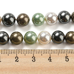 Polished Shell Pearl Bead Strands&nbsp;BSHE-F013-07D