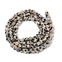 Natural Dalmatian Jasper Beads Strands&nbsp;GG-N002-02A-02