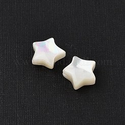 Natural White Shell Beads&nbsp;SHEL-R100-06A