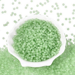 FGB Frosted Transparent Glass Seed Beads&nbsp;SEED-N013-02A-08