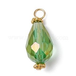 15Pcs 15 Color Electroplate Glass Pendants&nbsp;PALLOY-JF02257