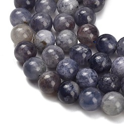 Natural Iolite Beads Strands&nbsp;G-G300-A04-8mm