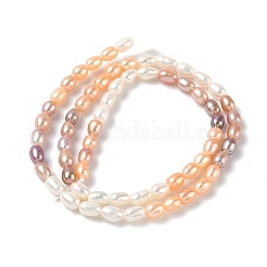 Natural Cultured Freshwater Pearl Beads Strands&nbsp;PEAR-C004-14B